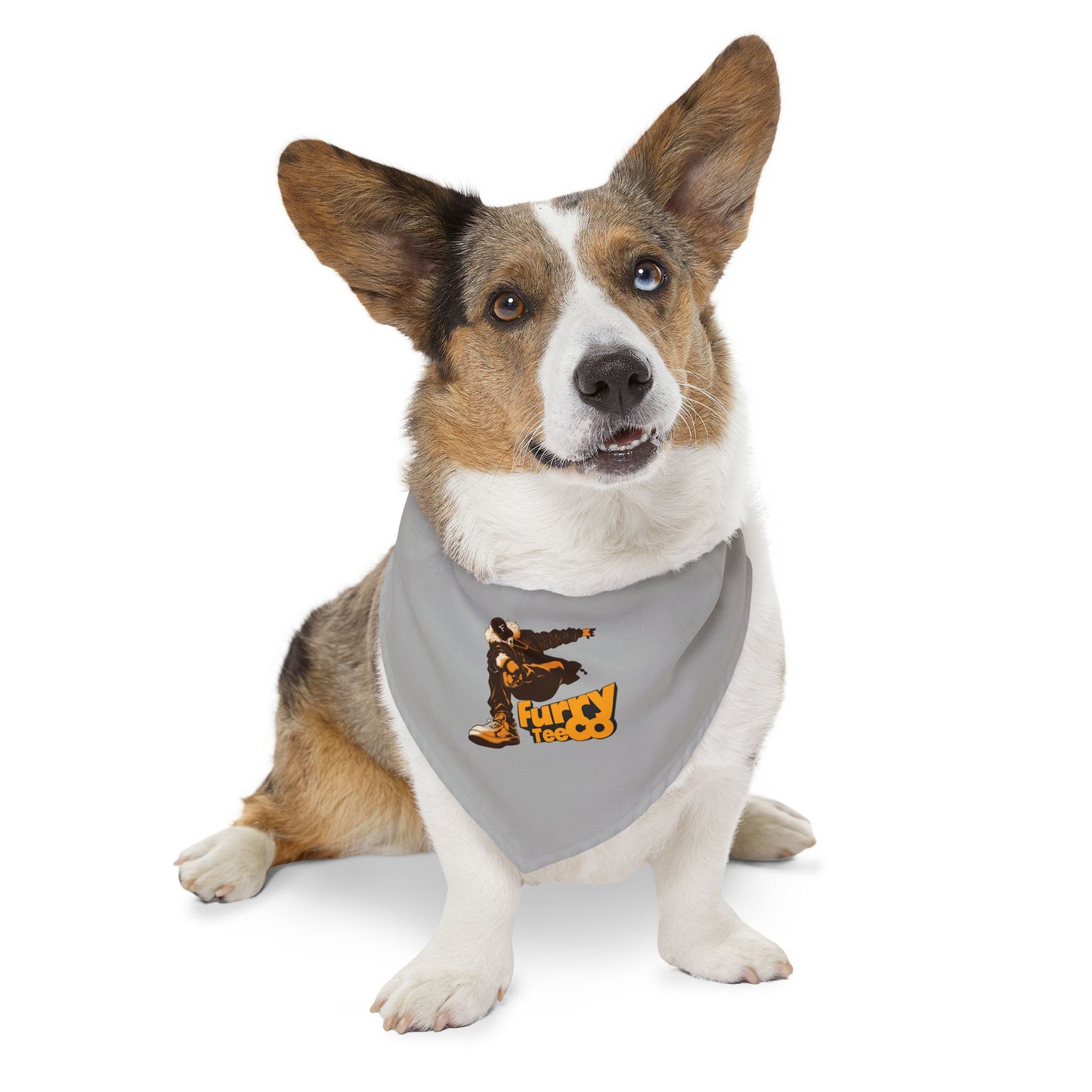 FTC Boss Bandana Collar