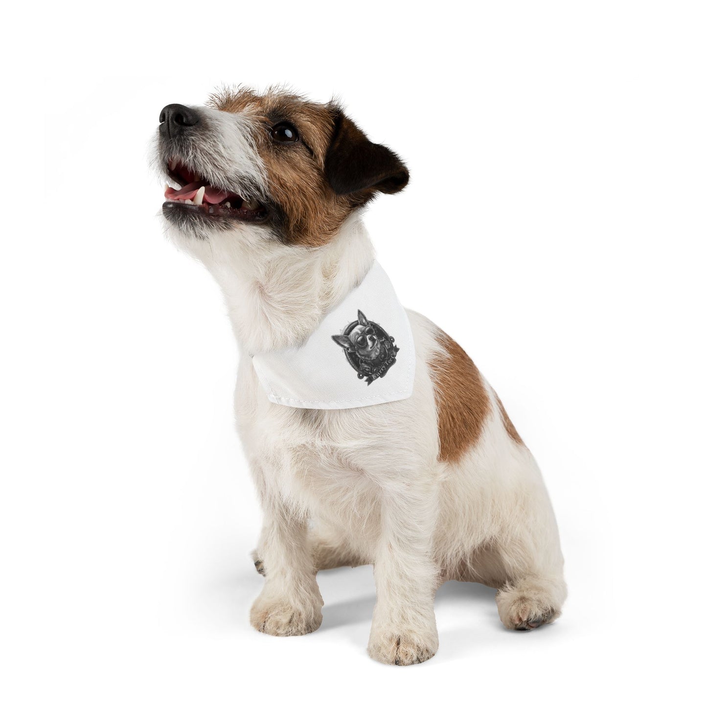 Mini Moto Bandana Collar