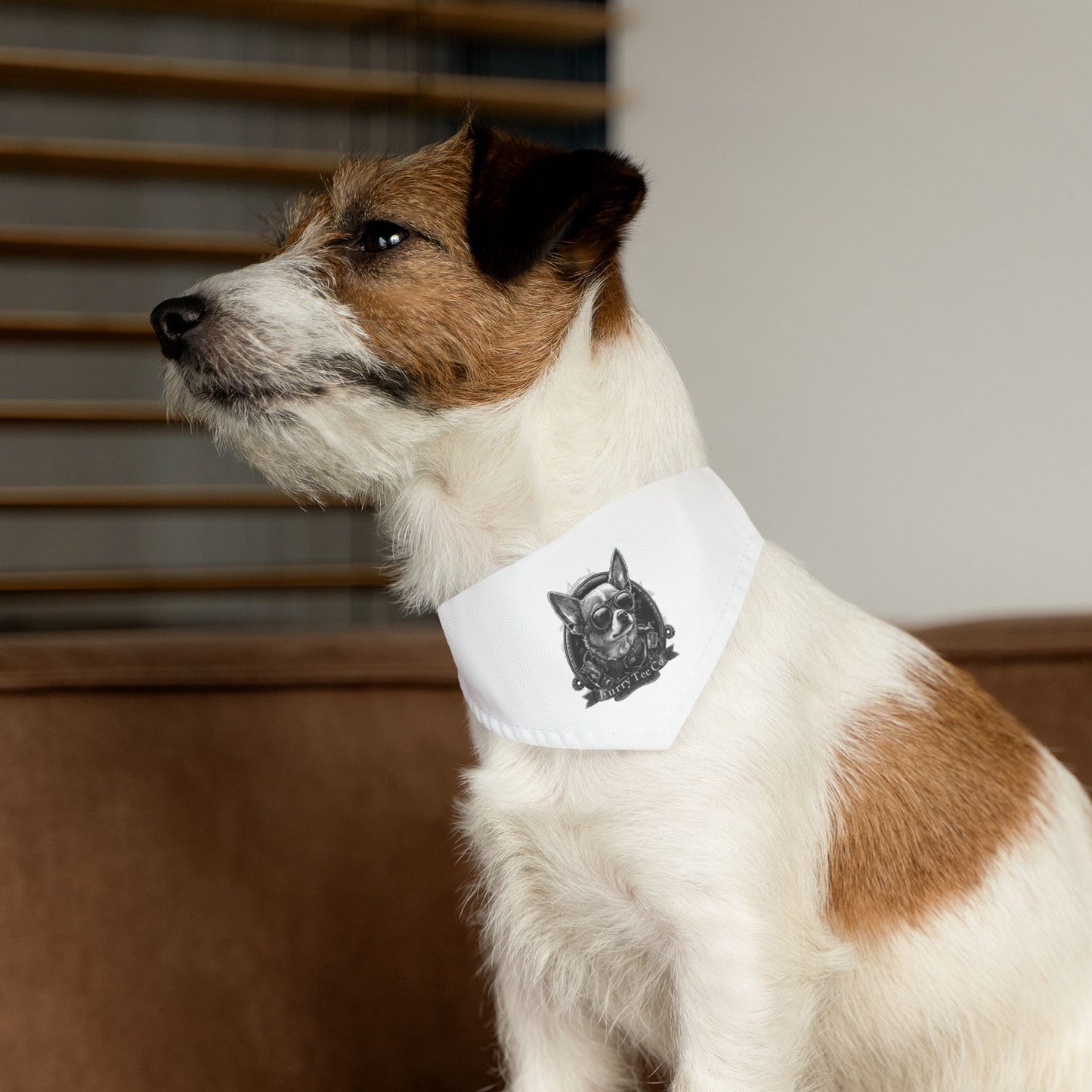 Mini Moto Bandana Collar