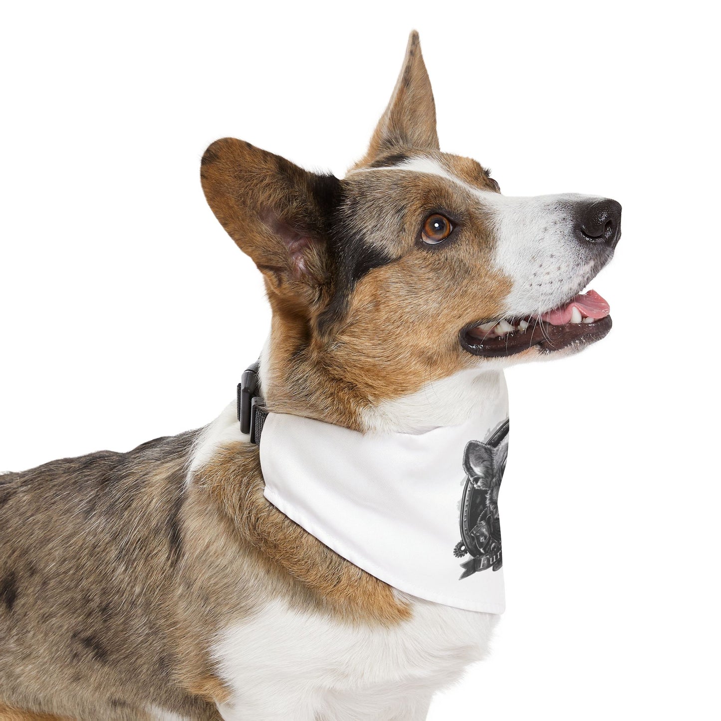 Mini Moto Bandana Collar