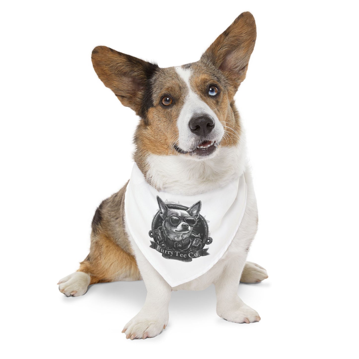 Mini Moto Bandana Collar