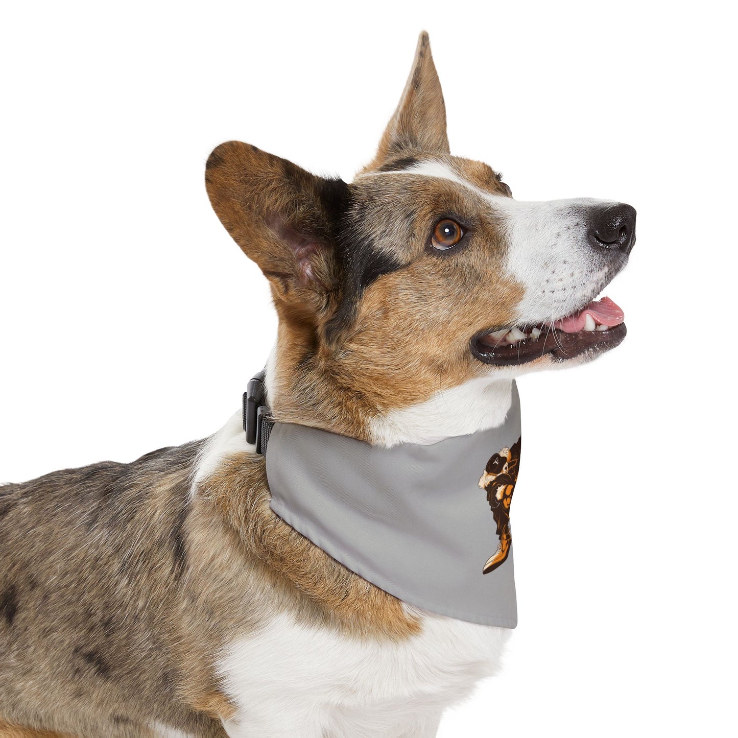 FTC Boss Bandana Collar