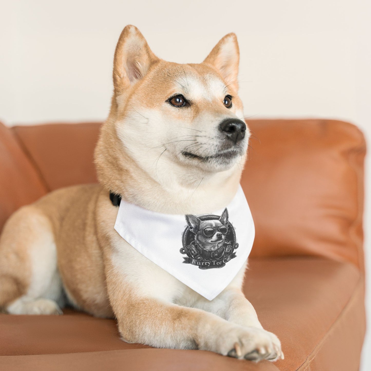 Mini Moto Bandana Collar