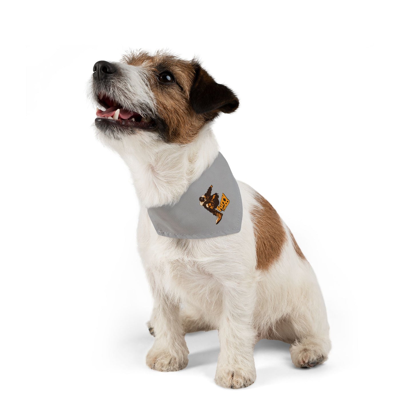 FTC Boss Bandana Collar